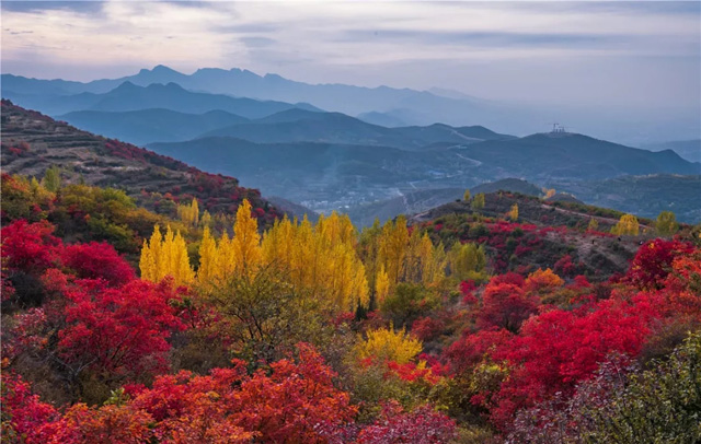 嵩山紅葉